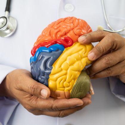 Neurolog Osielsko